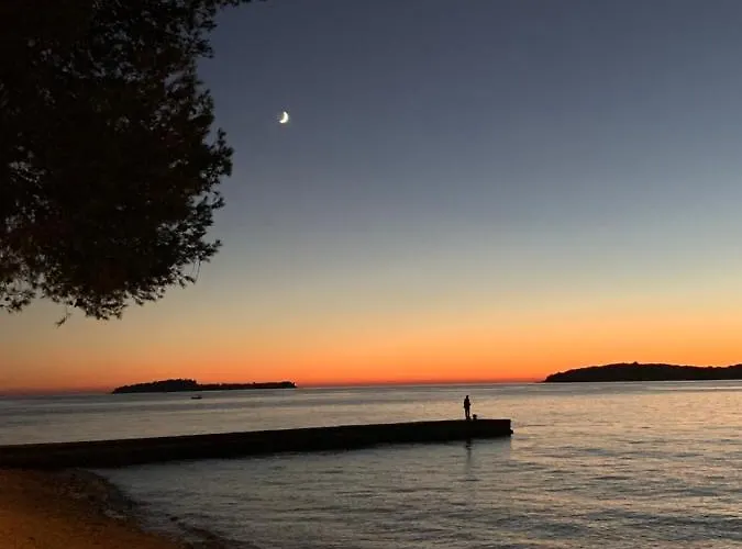 Puntizela-patty Pula