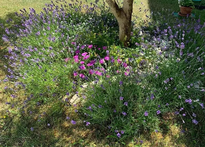 Puntizela-patty Appartement Pula