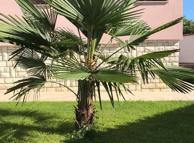 Puntizela-patty Appartement *