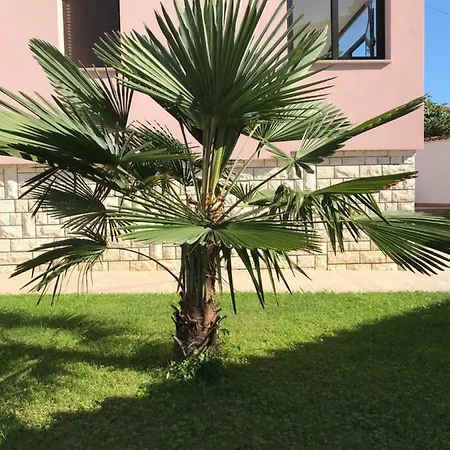 Puntizela-patty Apartment *