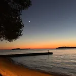 Puntizela-patty Pula